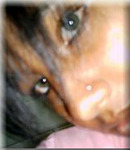 red-hot Brazil girl  from Atibaia B1408