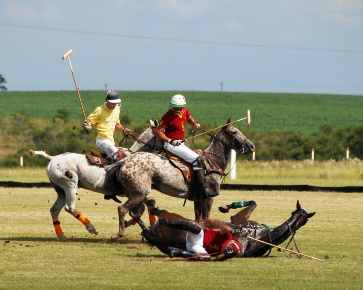 Date this happy United States man Hello8811 from Miami Beach US3428