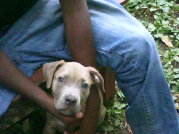 Date this attractive United States man Big from detroit US4746