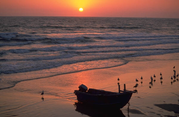 Date this attractive Dominican Republic man Babyboom from Santo Domingo DO2723