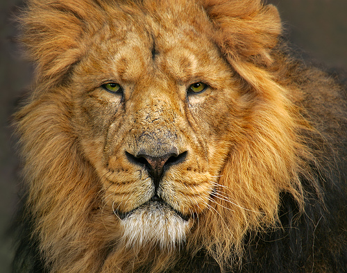 Date this stunning United States man Vicmai from Bronx US5032