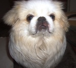 stunning United States man  from Nowhere US5629