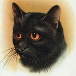 georgeous United States man  from Los Angeles US6727