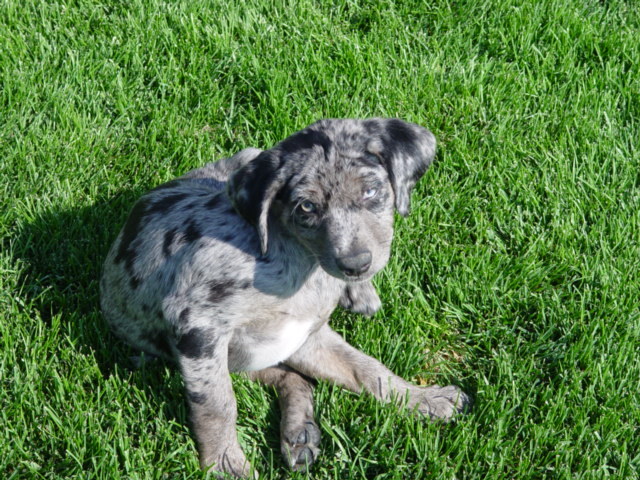 Date this young United States man Renoprocess from Reno US7107