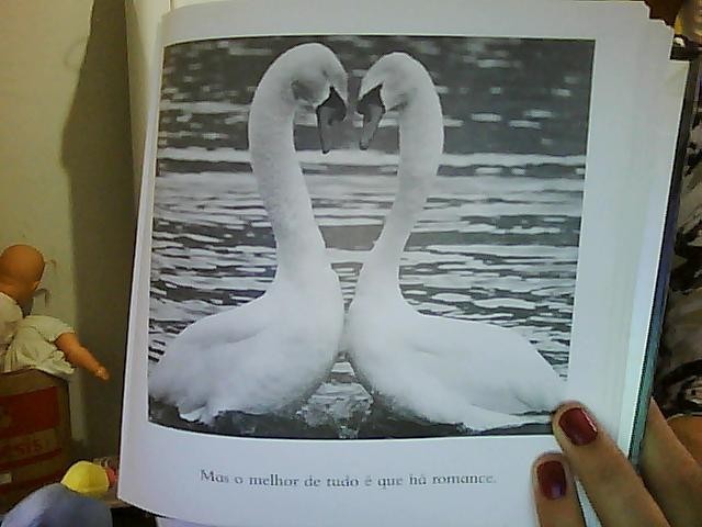 Date this voluptuous Brazil girl Carlanara from Caldas Novas BR3641