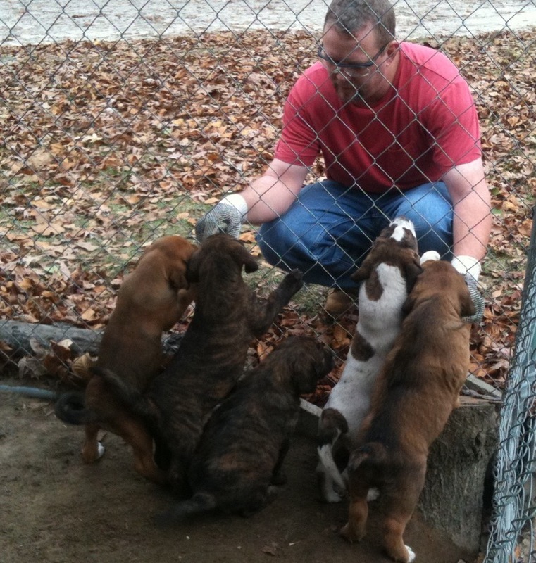 Date this athletic United States man Rikard1969 from Columbia US10973