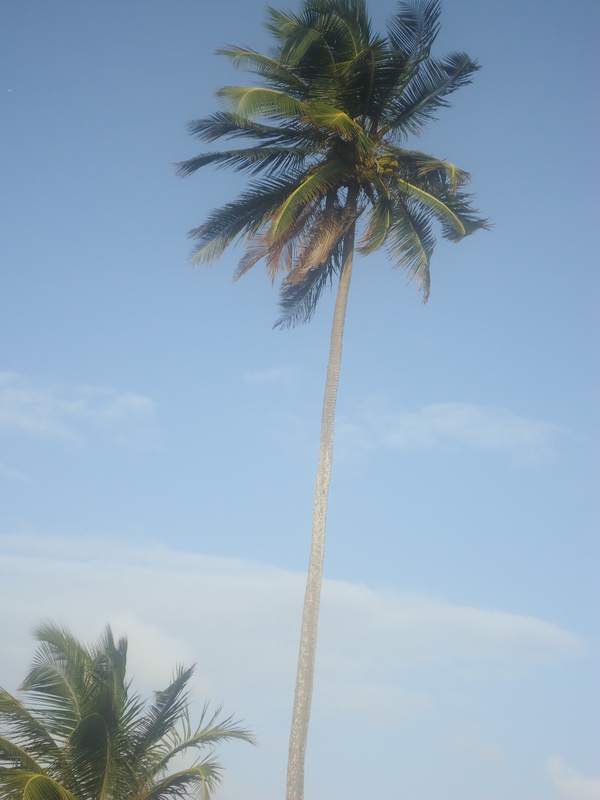 Date this young United States man Leocastro from Boston US11556