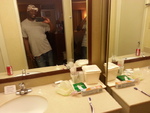 foxy United States man  from Seattle BR6814