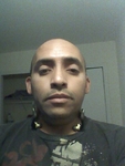 hot United States man Piro from Bronx US13769