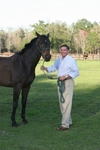 georgeous United States man  from Miami US16269