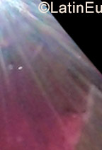 Date this passionate Colombia girl Kari from Santa Marta CO23636